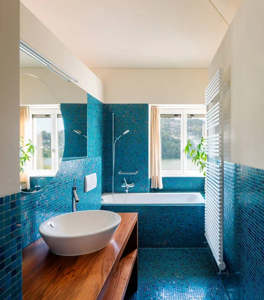Modern Mavi Banyo Doğa Manzaralı Çerideki Hiç Kimse Boş Değil — Stok fotoğraf
