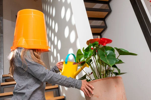 Meisje Met Emmer Haar Hoofd Zorgt Voor Bloemen Van Haar — Stockfoto