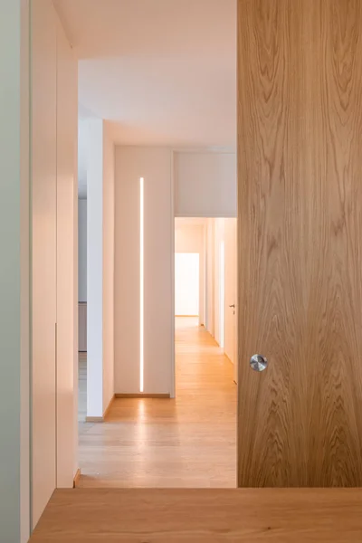 走廊的细节与门和引导条 最低限度的公寓里面没有人概念 — 图库照片