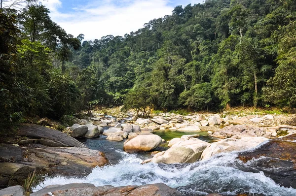 Beautiful Waterfall Fast River Impenetrable Jungle Laos — Stock Photo, Image