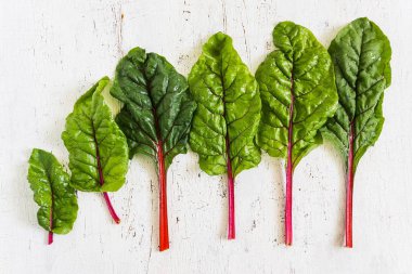 taze Pazı yapraklarını dökmüş bir beyaz eski ahşap masa