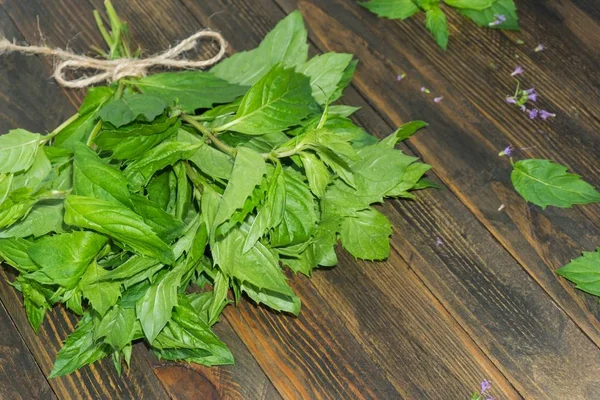 Bunch Fresh Mint Wooden Background Top View Space Copy — Stock Photo, Image