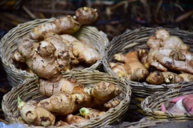 Zencefil kökü, Asya gıda ve popüler Asya baharat.
