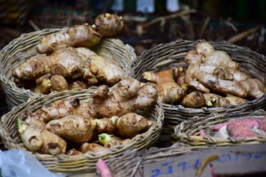 Zencefil kökü, Asya gıda ve popüler Asya baharat.