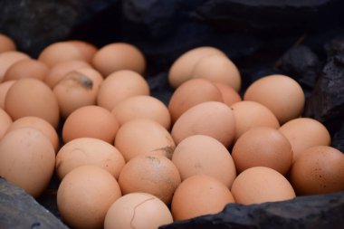 kızarmış yumurta, haşlanmış yumurta üzerinde satılan market, Tayland Gıda.