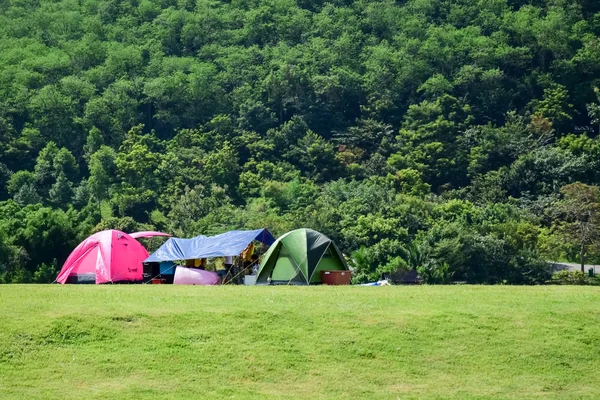 野营帐篷在绿草如茵与绿色森林附近 — 图库照片