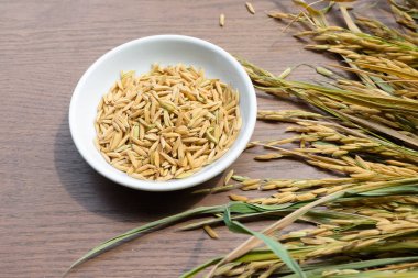 Organik çeltik tohumu, ahşap arka plan kopya alanı, sağlıklı gıda ile Unmilled pirinç.