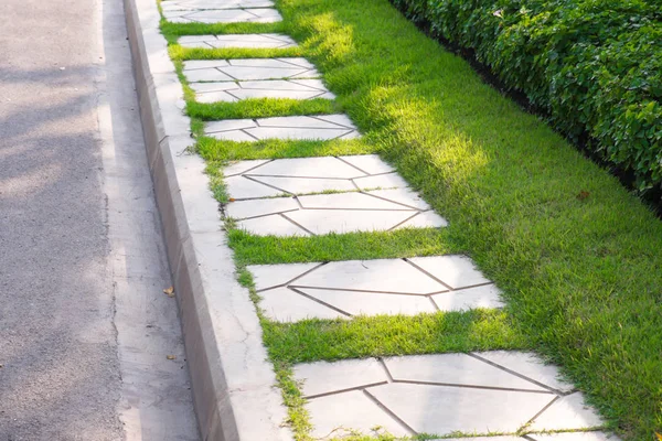 绿色草坪 美丽的踏脚石路径与绿色的草坪 在花园的人行道 花园景观设计 — 图库照片