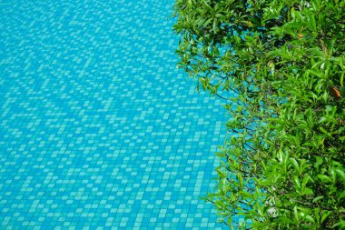 Yüzme Havuzu, metin için boş alan ile arka plan etrafında yeşil yaprakları ile su yüzeyi.