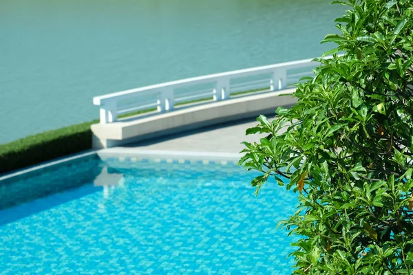 Wateroppervlak Met Groene Bladeren Rond Zwembad Achtergrond Met Lege Ruimte — Stockfoto
