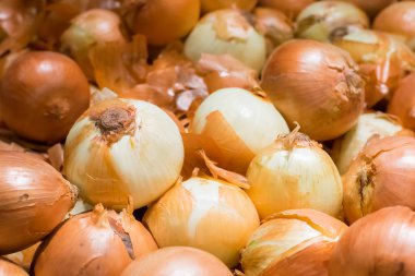Taze soğan arka plan, sebze için sağlıklı.