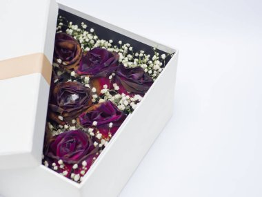 Hediye kutusu beyaz arka planda, kopya alanı içinde kuru gül.