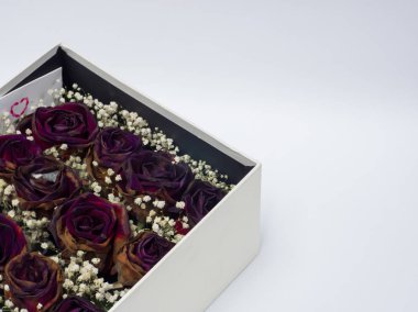 Hediye kutusu beyaz arka planda, kopya alanı içinde kuru gül.