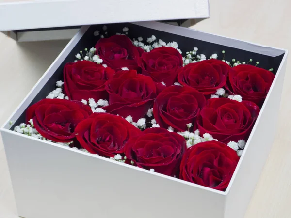 Romantik kırmızı gül, yakın çekim kutu kırmızı gül ile gül bir kutu içinde korunmuş.