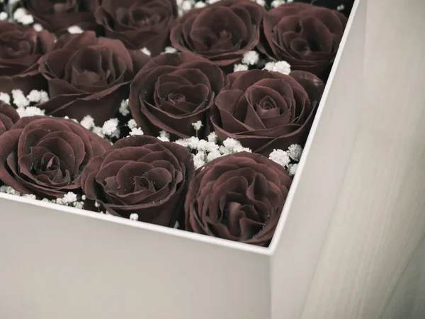 Романтические Красные Розы Крупным Планом Коробки Красными Розами Сохраненные Розы — стоковое фото
