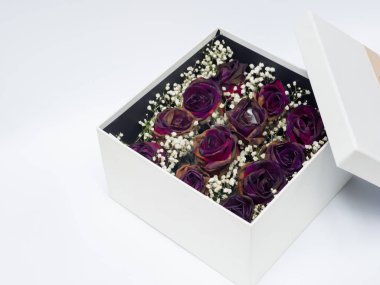 Hediye kutusu beyaz arka planda, kopya alanı içinde kuru gül.