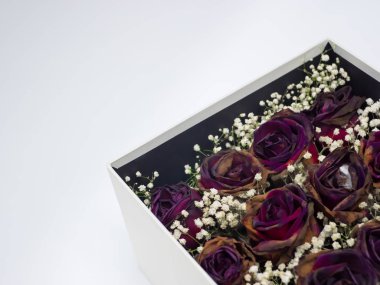 Hediye kutusu beyaz arka planda, kopya alanı içinde kuru gül.