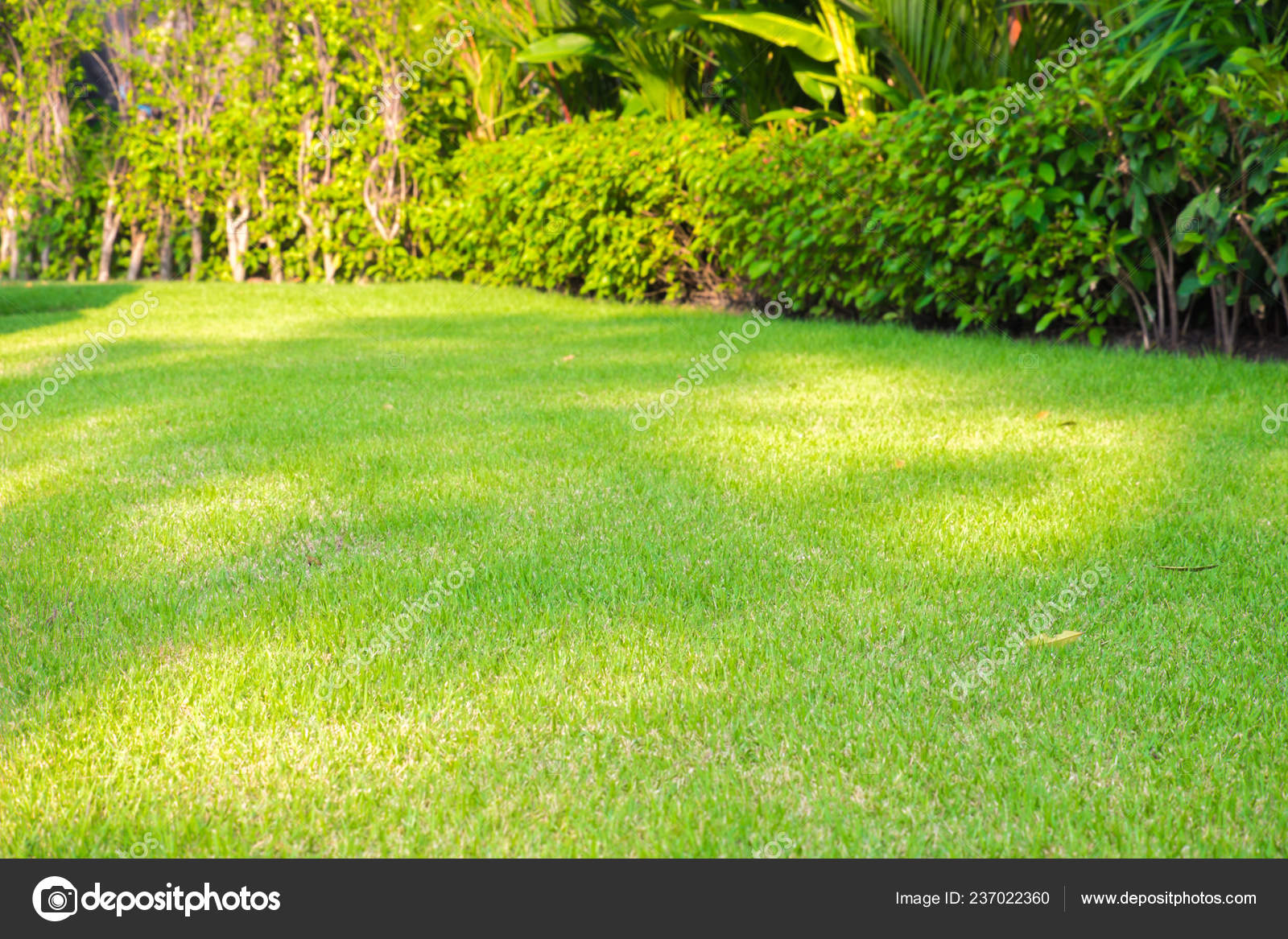 Green Grass Lawn Background and Texture for Wallpaper and Presentation  Stock Photo  Image of travel background 122573194