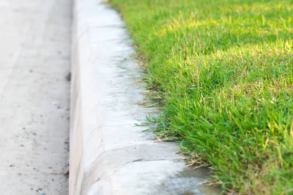 Achtergrond Van Groen Gras Groen Gazon Patroon Textuur Achtergrond Bovenaanzicht — Stockfoto