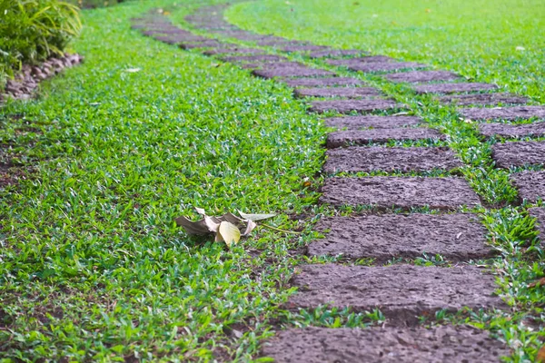 Groen Gazon Mooie Stenen Weg Met Groene Gazon Intensivering Wandelpad — Stockfoto