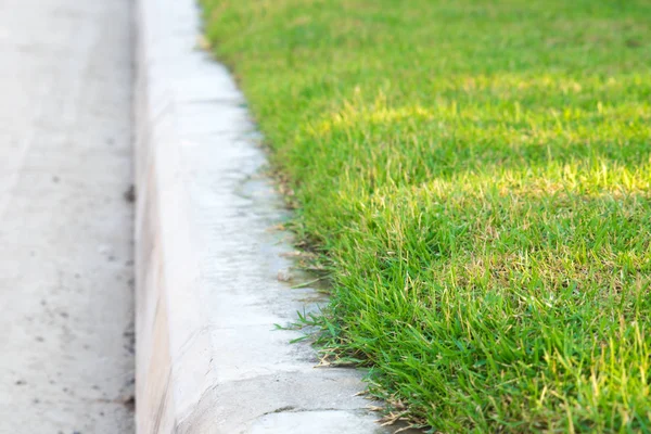 Groene gras achtergrond, groene gazon patroon getextureerde achtergrond. — Stockfoto