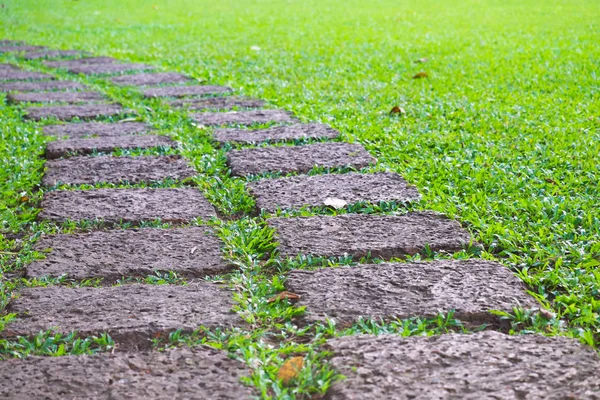 Groen gazon, mooie opstap stenen pad met groen gazon. — Stockfoto