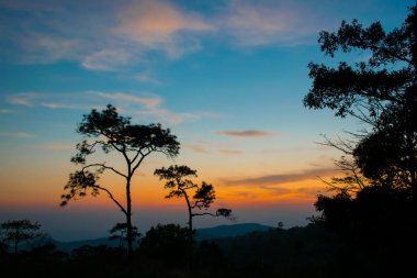 siluet kavramı; Phu Ruea Milli Parkı Sunset View Point, Loei, Tayland, Altın gökyüzü arka plan, gün batımından sonra alacakaranlık gökyüzü.
