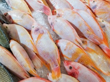 Taze Balık Buz üzerinde Chilling, taze balık bir pazarda satılan.