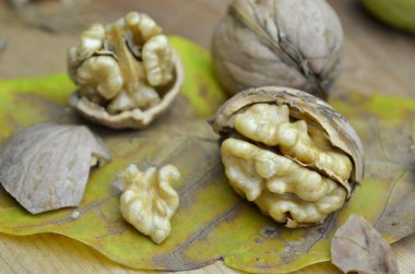 Ceviz taze biyo eko organik