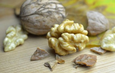 Ceviz taze biyo eko organik