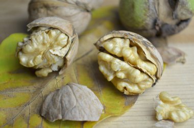 Taze ceviz biyo organik eko doğal 