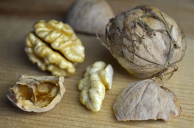 Taze ceviz biyo organik eko doğal 