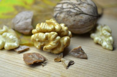 taze ceviz biyo organik