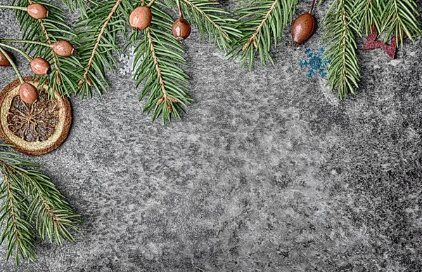 Taze çam ve yıldızlar Noel arka plan