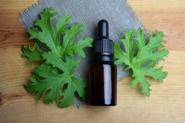 Citronella Sardunya aromaterapi yağ
