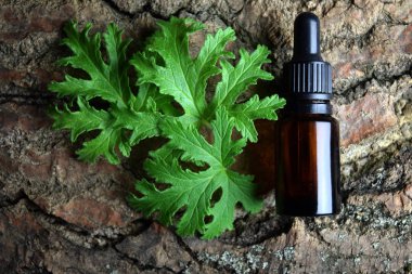 Citronella Sardunya aromaterapi yağ
