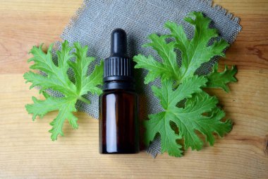 Citronella Sardunya aromaterapi yağ