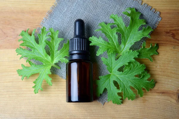Citronella Sardunya aromaterapi yağ