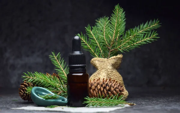 Spruce Aromatherapy Oil Organic Bio Wellnes — Stock Photo, Image