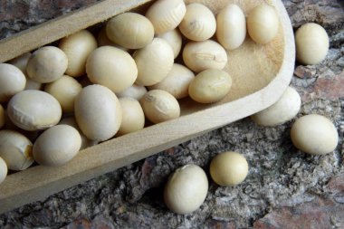 Soya Fasulye biyo organik