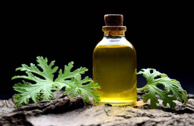 Citronella Sardunya aromaterapi yağ Spa