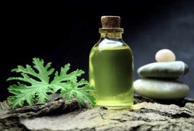 Citronella Sardunya aromaterapi yağ Spa