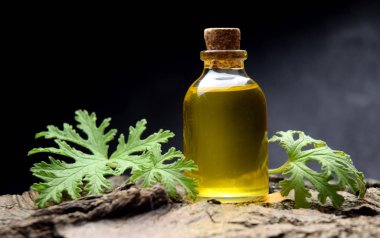 Citronella Sardunya aromaterapi yağ Spa