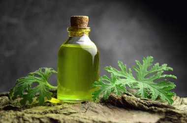 Citronella Sardunya aromaterapi yağ Spa