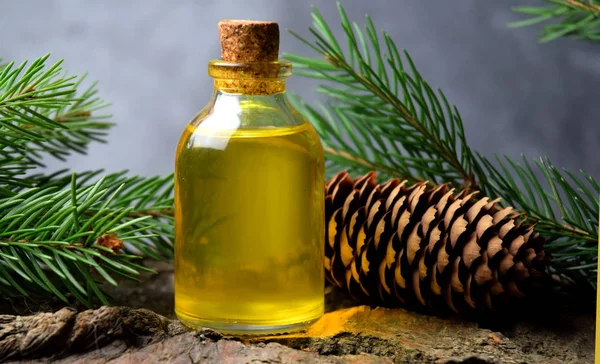 Spruce natural oil bio organic