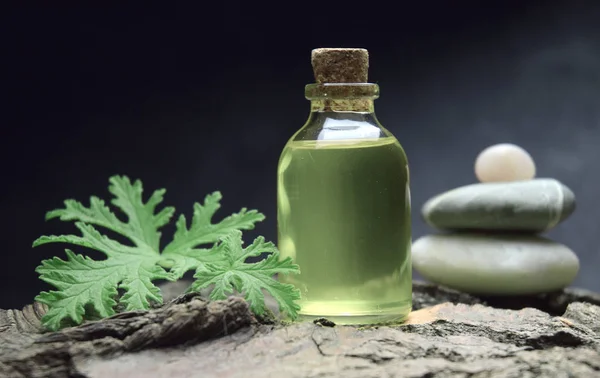 Citronella Geranium Aromatherapy Oil Spa — Stock Photo, Image