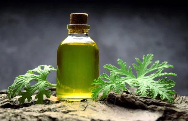 Citronella Geranium Aromatherapy Oil Spa — Stock Photo, Image