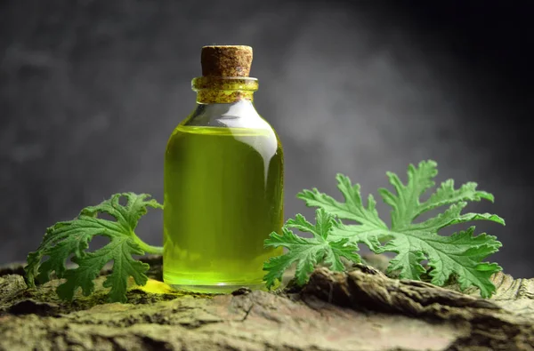 Citronella Sardunya aromaterapi yağ Spa