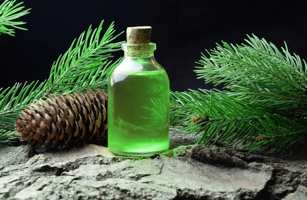 Spruce Naturliga Olja Bio Organiska — Stockfoto