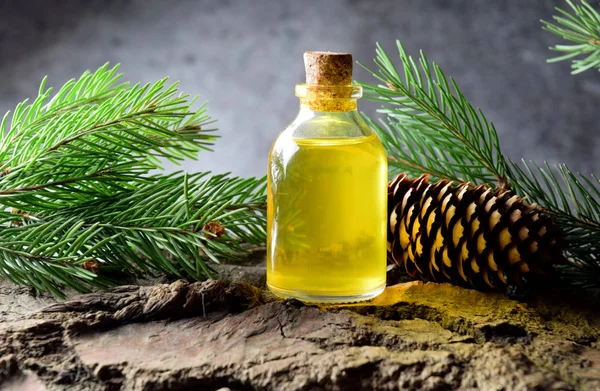 Spruce Naturliga Olja Bio Organiska — Stockfoto